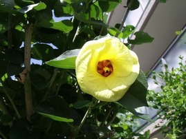 2012-07-09_2740_R