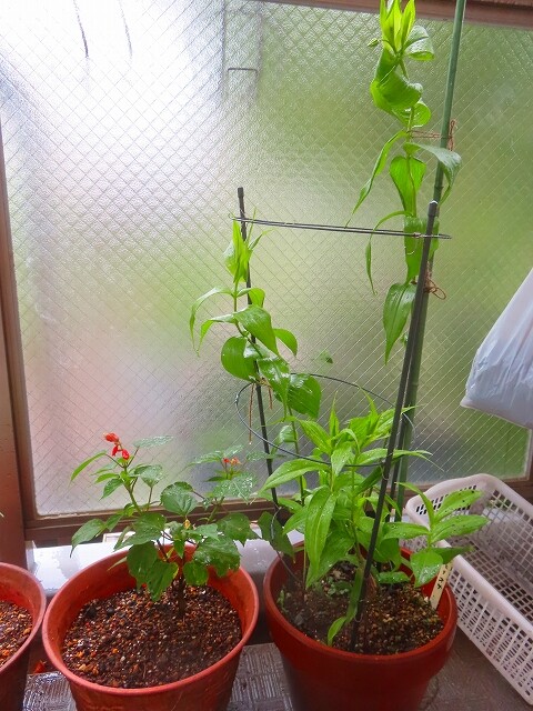 2026-06-02_27251