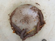 2024-06-07_11128