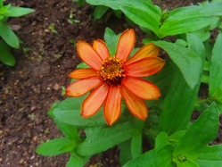 2026-07-01_27877