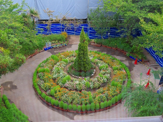 2023-08-11_3954