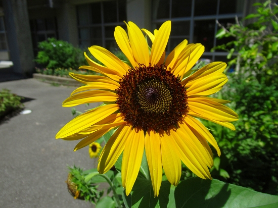 2021-07-22_15285