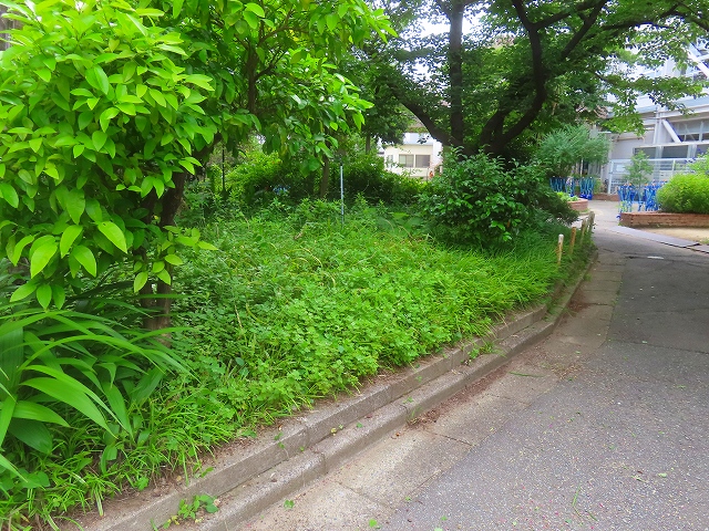 2026-06-23_27679