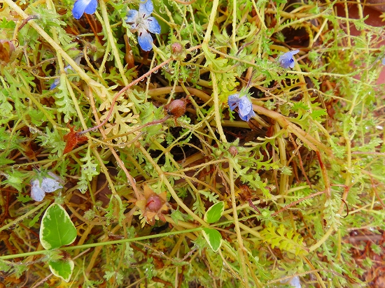 2024-05-07_10396