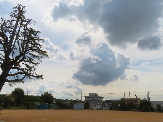 2025-09-03_20988