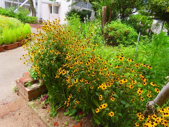 2024-08-16_12784