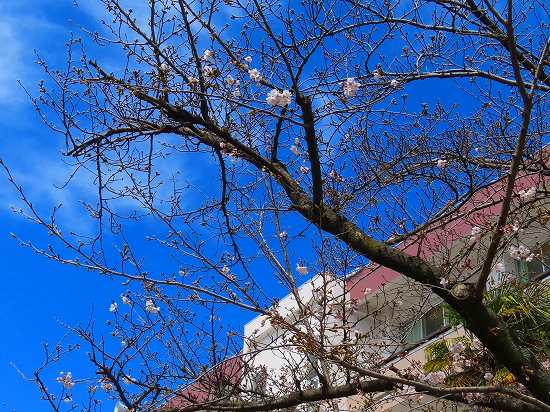 2024-03-29_9014