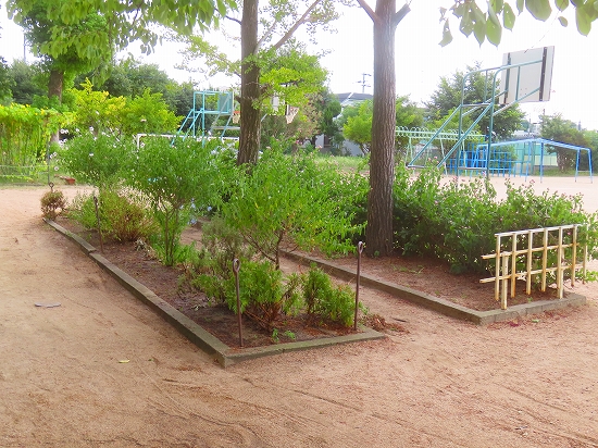 2025-09-03_20990