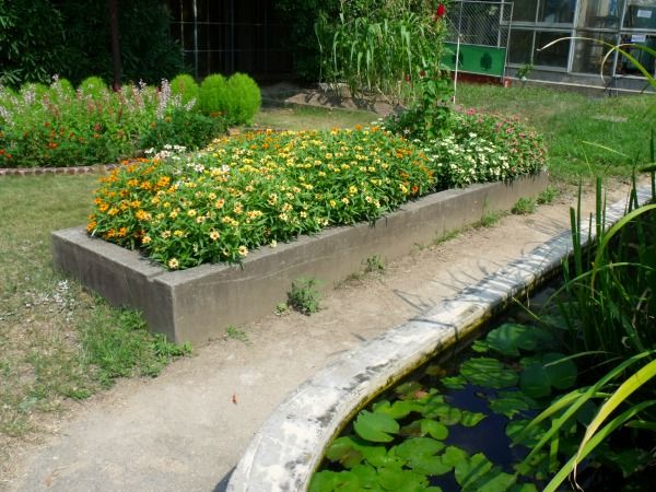 2013-08-11_16296