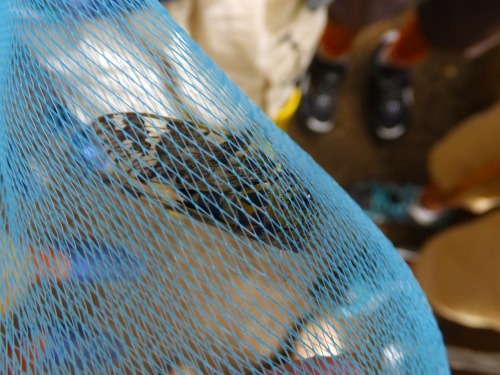 2015-07-08_5390