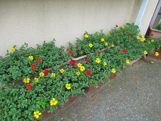 2019-07-10_1680