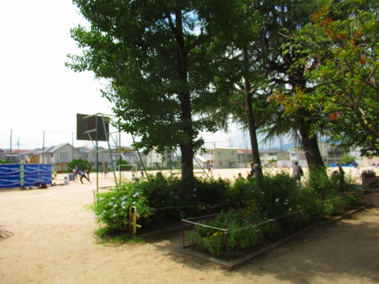 2022-08-27_4859