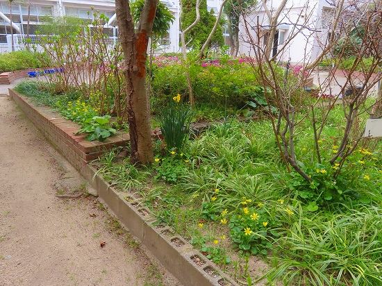 2026-03-18_24936