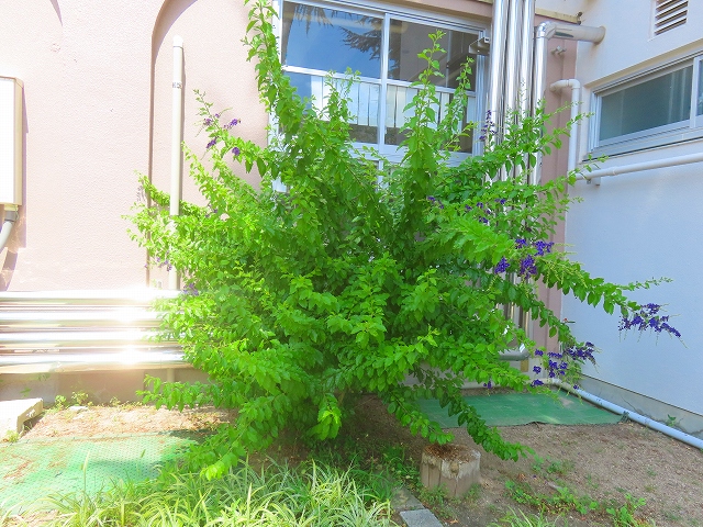 2026-07-25_28390