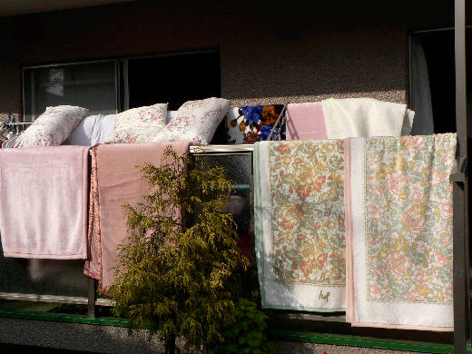 ベランダは花盛り 花好きおばあさんの 園芸ボランティア日記 ベランダは花盛り 花好きおばあさんの 園芸ボランティア日記