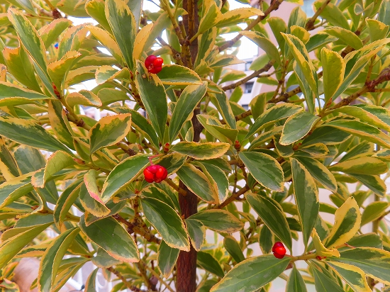 2025-02-12_16055