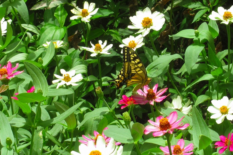 2022-07-09_3411 (2)