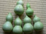 �Ҥ礦����