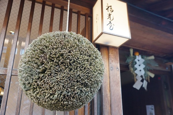 DSC08763-crop