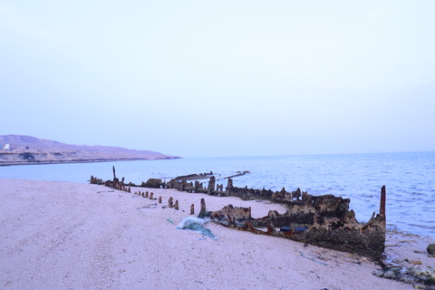 20190322061623_IMG_0413