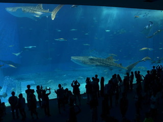 某水族館