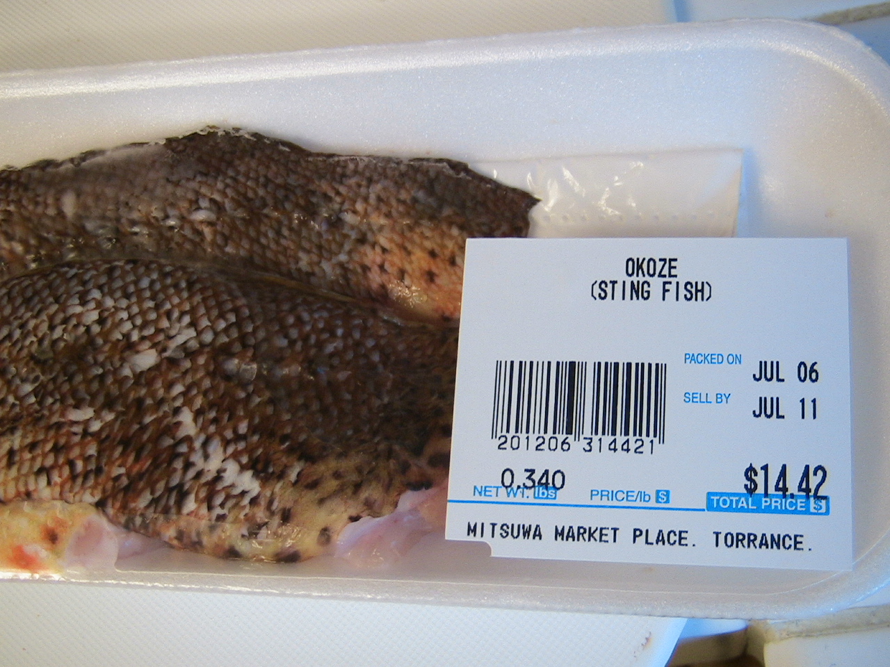 高級魚 オコゼを食す Viva Ny