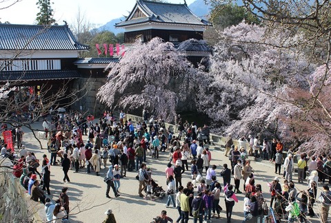 uedajyo-senbon