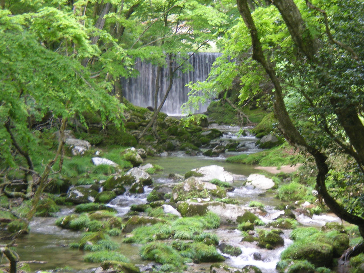 涼を求めて 花貫渓谷 若女将の奮闘日記 横川温泉 元湯 山田屋旅館