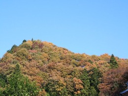 r-IMG_4020