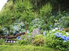 s-IMG_3287