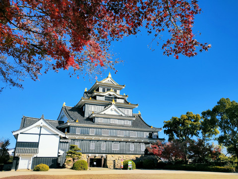 写真07