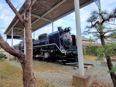 写真31