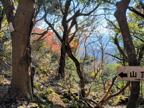 写真11