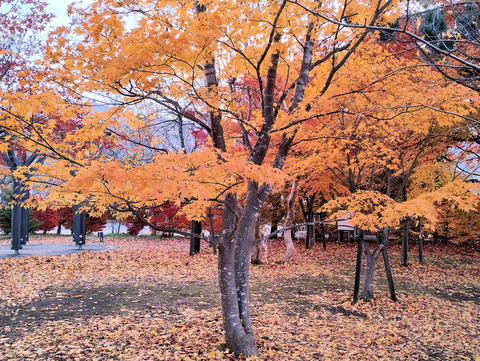 写真27