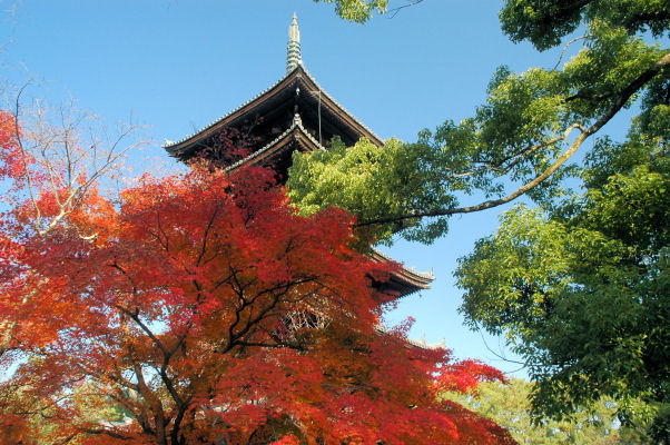 https://livedoor.blogimg.jp/mk2kpfb/imgs/0/5/056d84a3.jpg