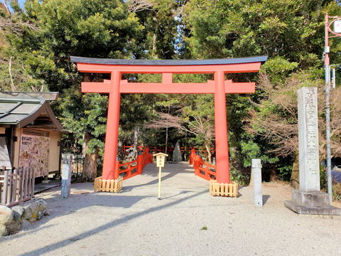 写真18