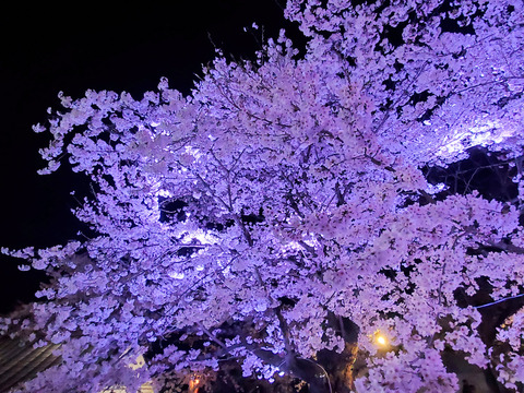 写真067