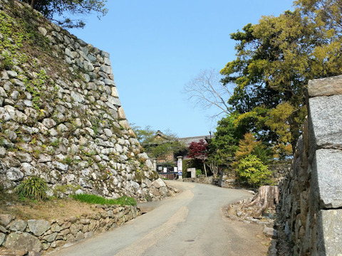 写真3