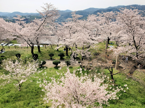 写真075