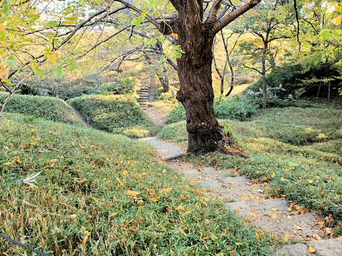 写真05