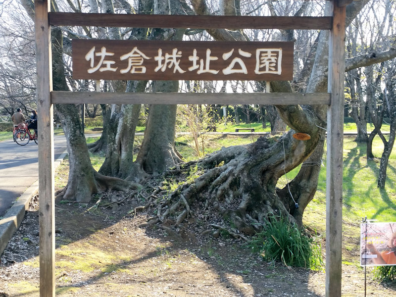 イメージ 6