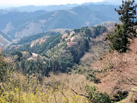 写真03