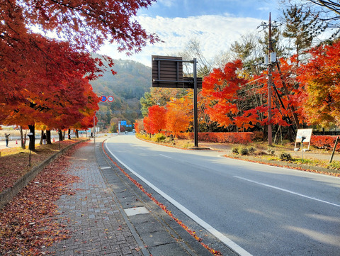 写真21