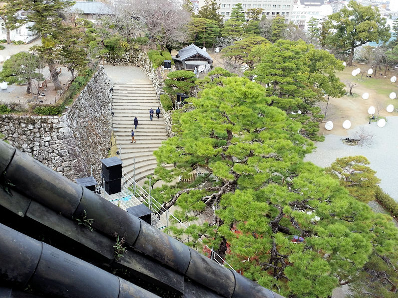 イメージ 11