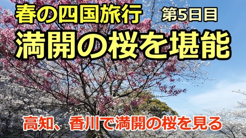 250331a_四国旅行5日目