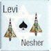 IAF_Nesher_Levi