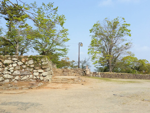 写真9