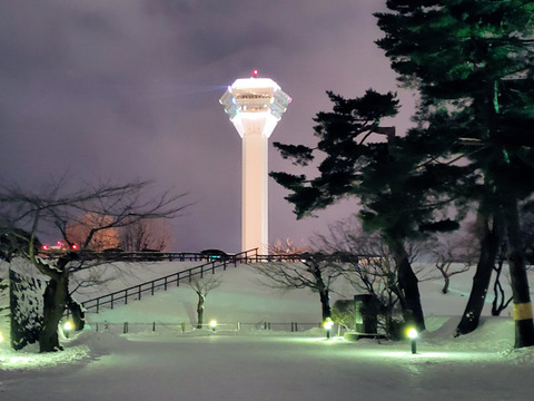 写真19