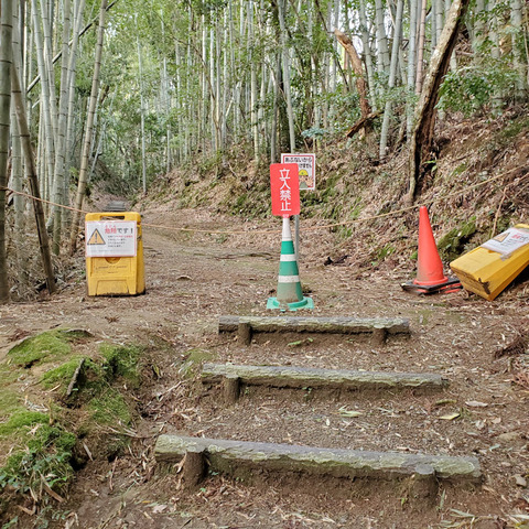 写真19