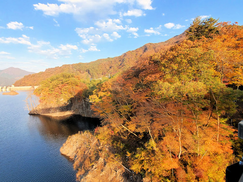 写真12